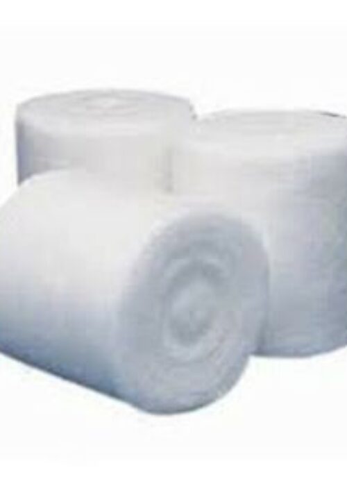 Absorbent Cotton Wool (500gm)